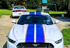 16 mustang new strips front s.jpg