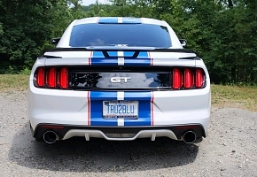 16 Mustang new strips rear s.jpeg