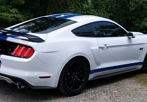 16 Mustang new strips rear ss.jpeg