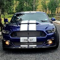 NZ GT mustang