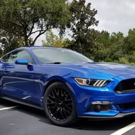 Blue_Stang