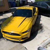 CrazyMustang