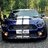 NZ GT mustang