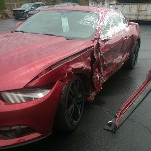 RIP Ruby Red