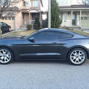 2016 Mustang V6 Fastback
