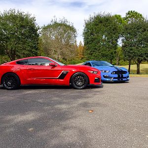 RS3 & GT350