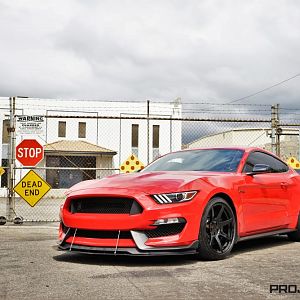 Race Red Mustang Shelby GT350 on Project 6GR wheels