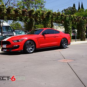 Mustang GT350 on Project 6GR Satin Graphite