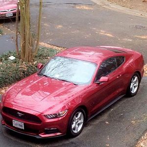 2017 Ford Mustang V6 Ruby Red