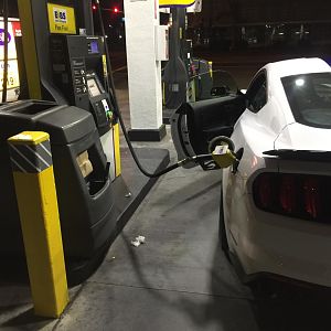 Shelby Gt350 pics