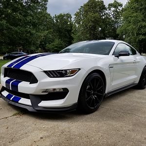 2016 Shelby GT350