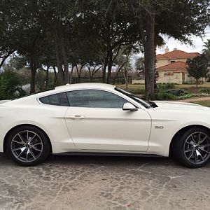2014.12.12 Mustang Ride   68