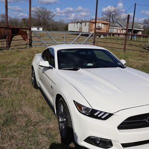 2014.12.12 Mustang Ride   37