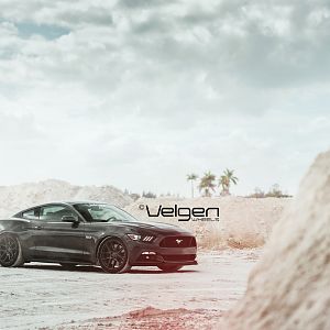 2015 Mustang GT Magnetic Grey on Velgen Wheels
VMB5s Matte Gunmetal 
20x9 & 20x10.5

http://velgenwheels.com