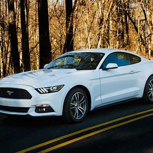 2015 Ford Mustang EcoBoost Premium w/201A