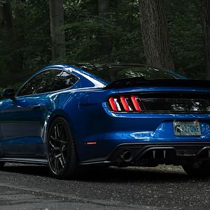 Mustang 8