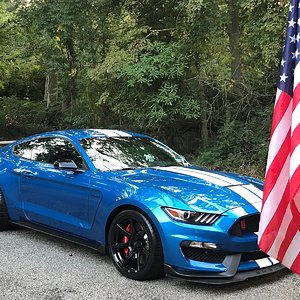 2019 Shelby GT350R
