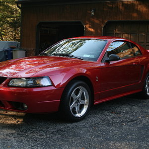 2001 Mustang SVT Cobra