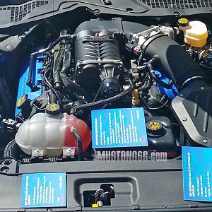 2015 Under hood of new Mustang 
(Display at Ford Nationals 2014)