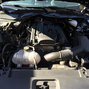 Completely stock engine bay