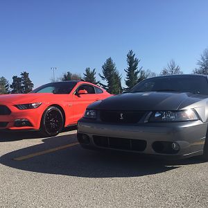 2016 Mustang GT
2003 Cobra Terminator