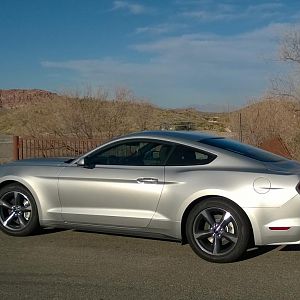 Mustang at Red Rock Overlook