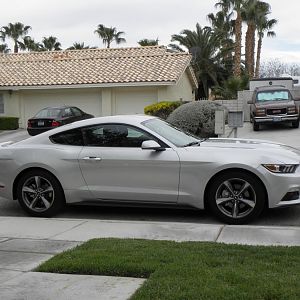 Mustang D1