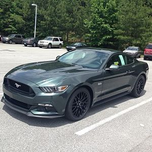 Mustang.5