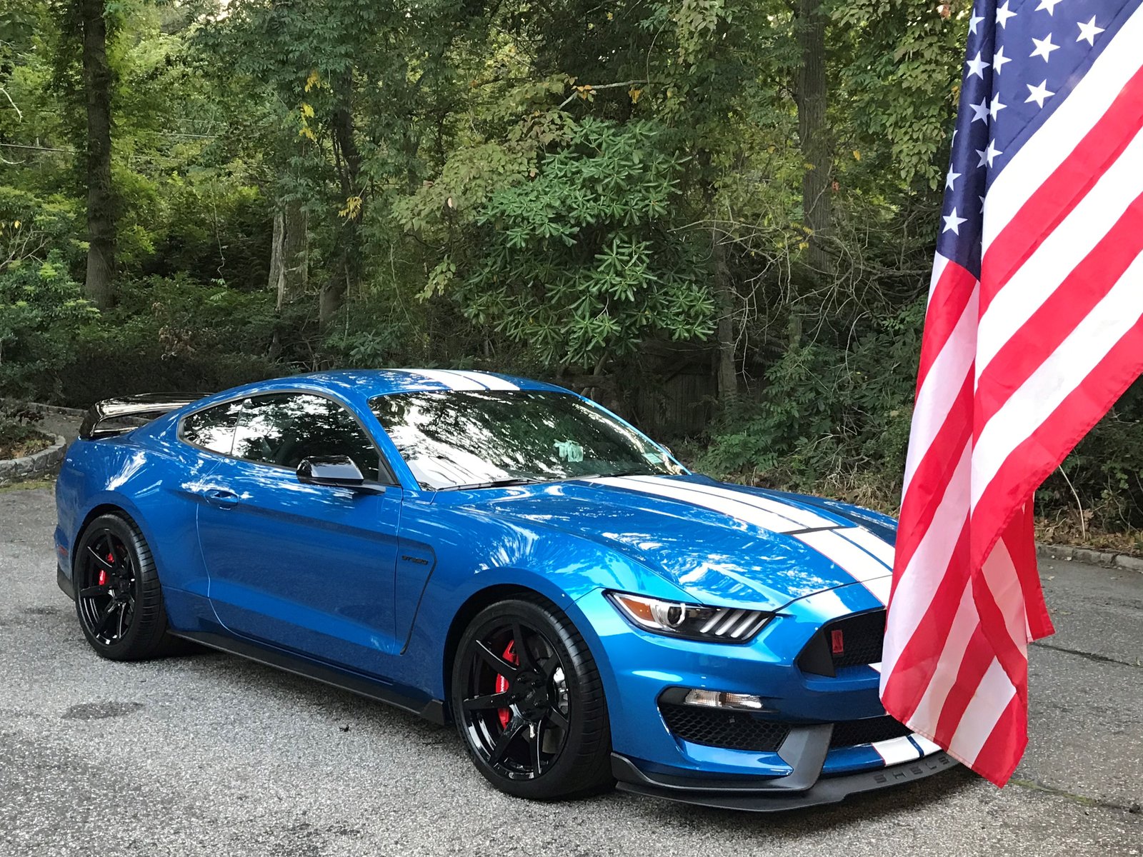 2019 Shelby GT350R