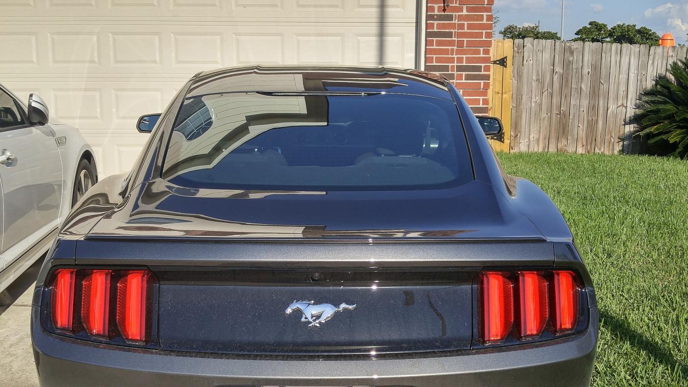 Ford Mustang Mrt Rear Window Louvers Rpidesigns Com