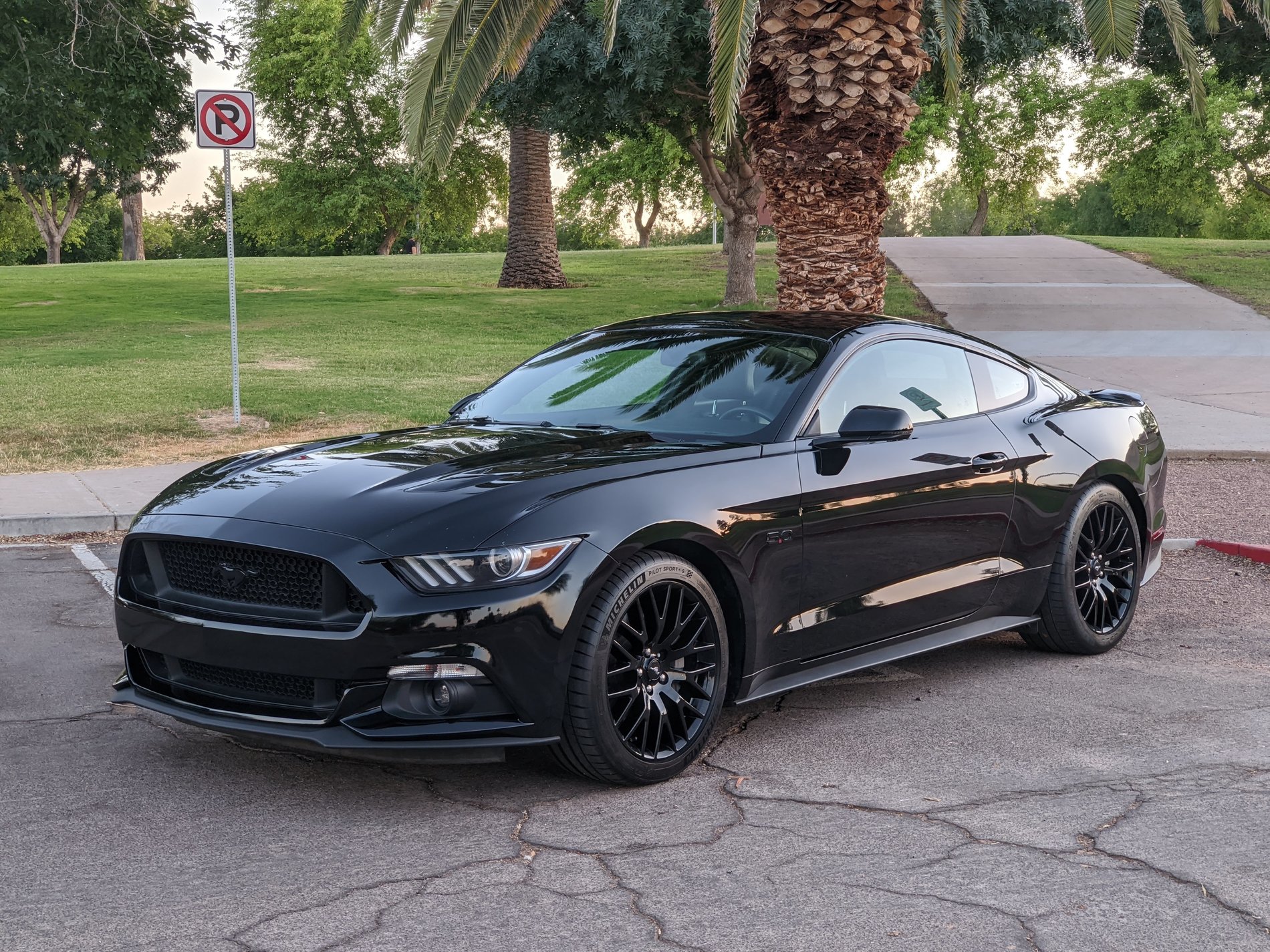 Arizona - 2016 GT Premium 401a Manual | 2015+ S550 Mustang Forum (GT ...