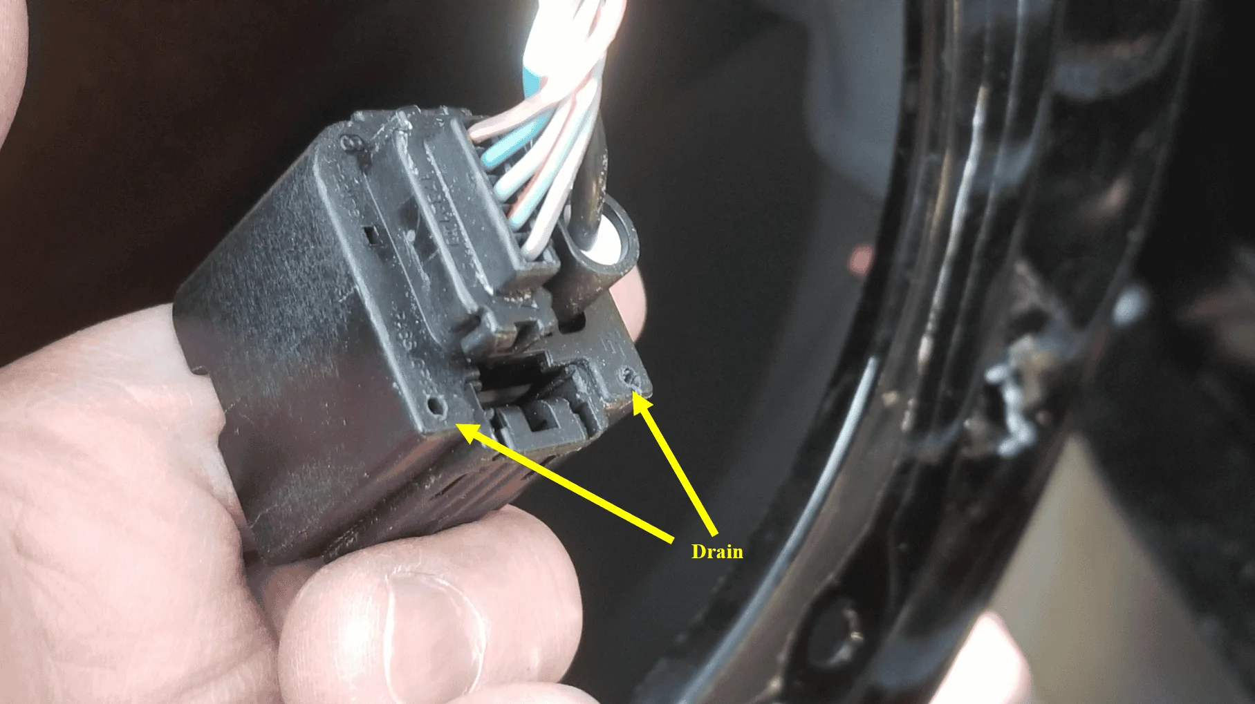 2019 Window malfunction Fixed | 2015+ S550 Mustang Forum (GT, EcoBoost ...