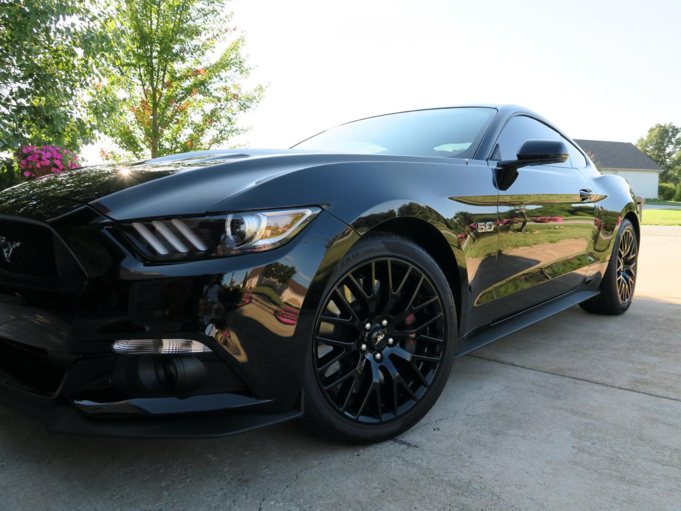 15 Mustang.jpg