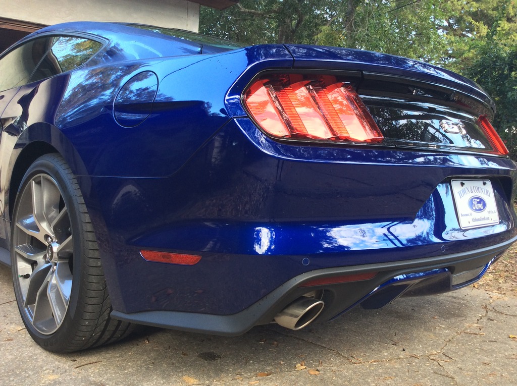 15 Mustang2.jpg
