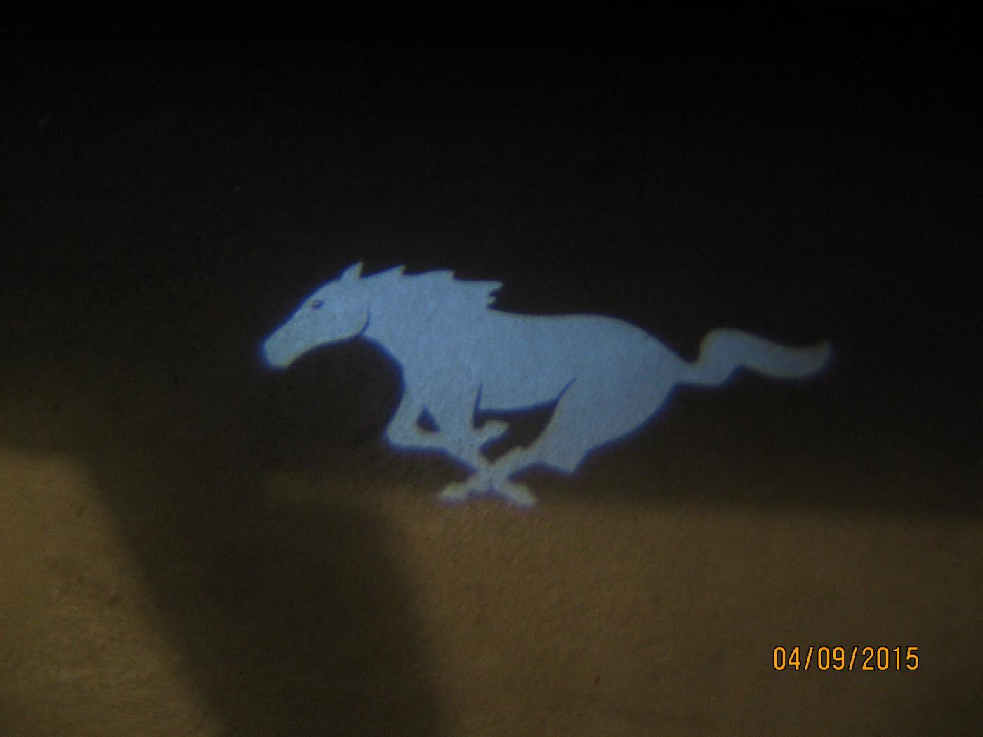 15 Pony Hologram.jpg