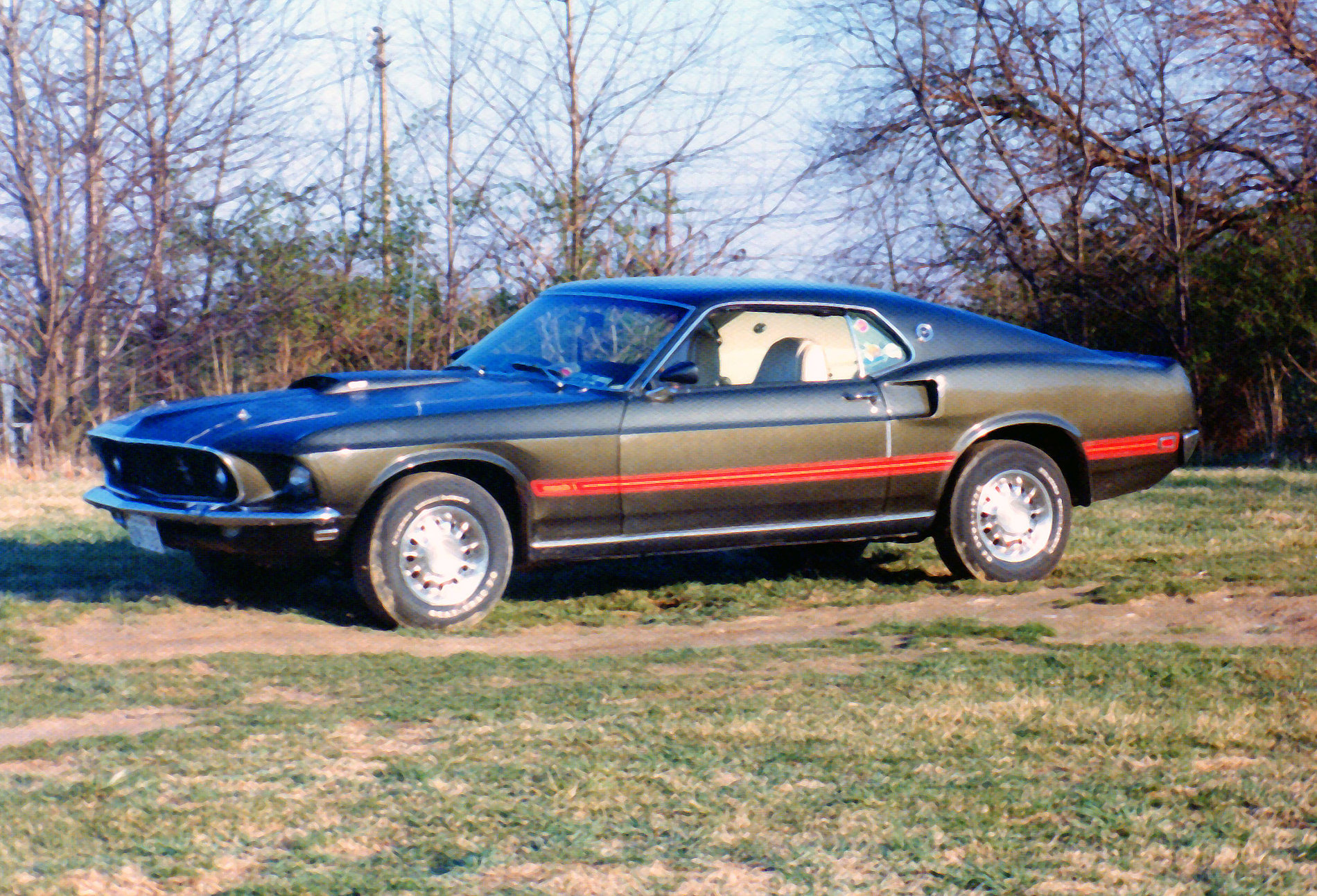 1969 Mustang Mach 1 Black Jade crop-retouch v1.jpg