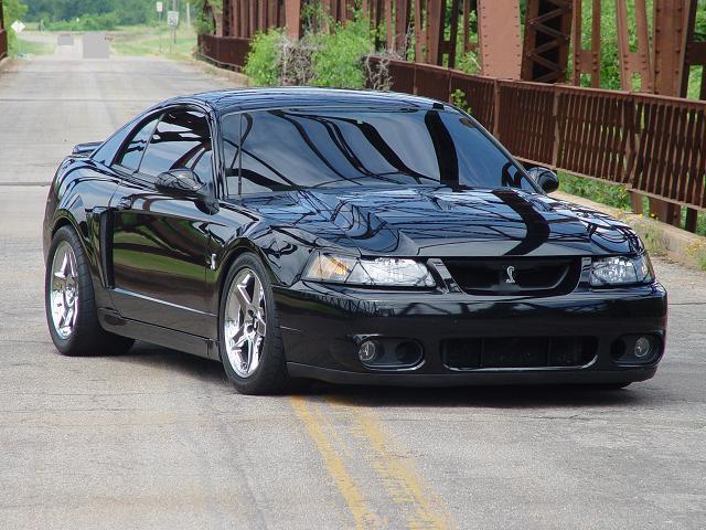 2004_ford_mustang_svt_cobra_2_dr_supercharged_coupe-pic-26060.jpg