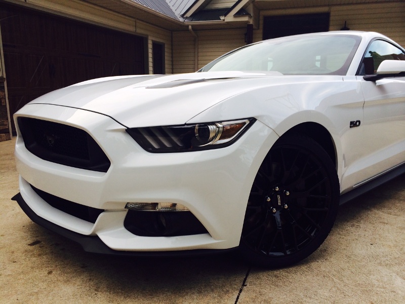2015 Mustang 02.JPG