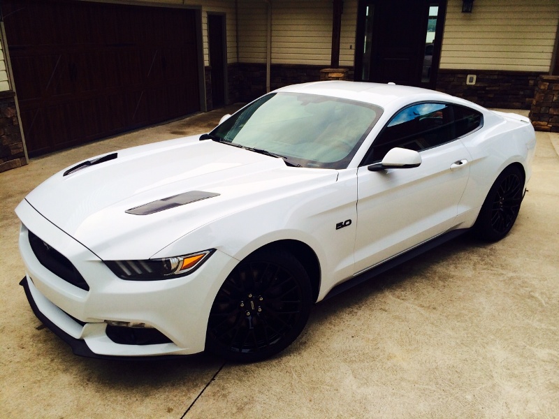 2015 Mustang 03.JPG