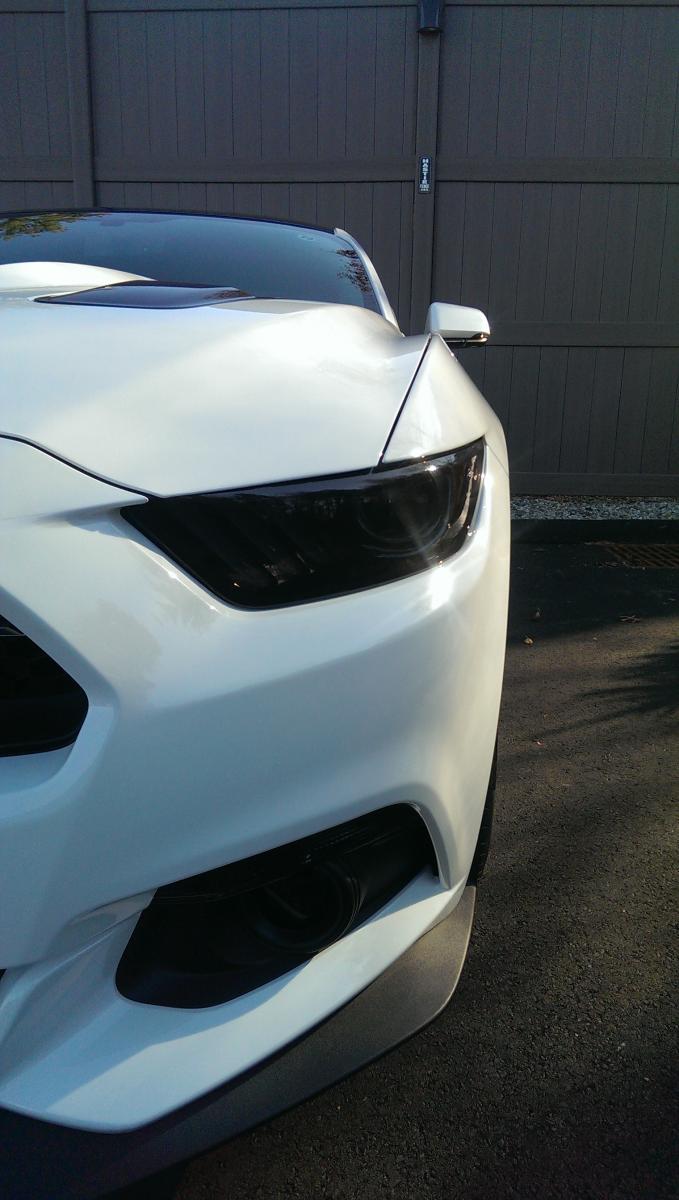 2015 Mustang Close-Up.jpg
