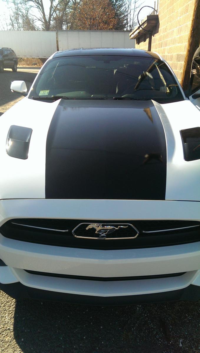 2015 Mustang Hood.jpg
