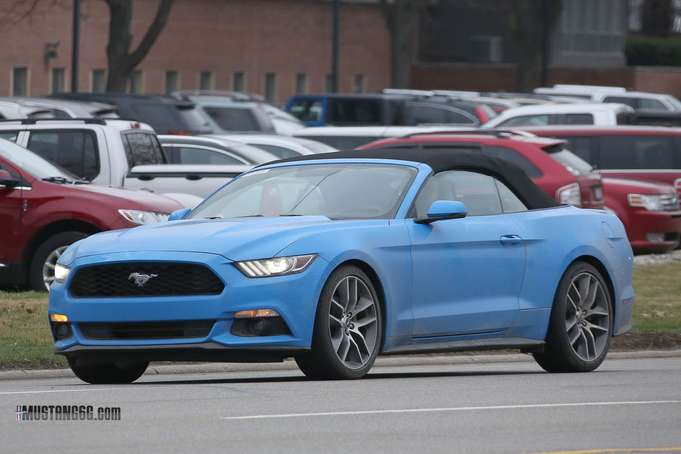 2017 Mustang Grabber Blue-1.jpg