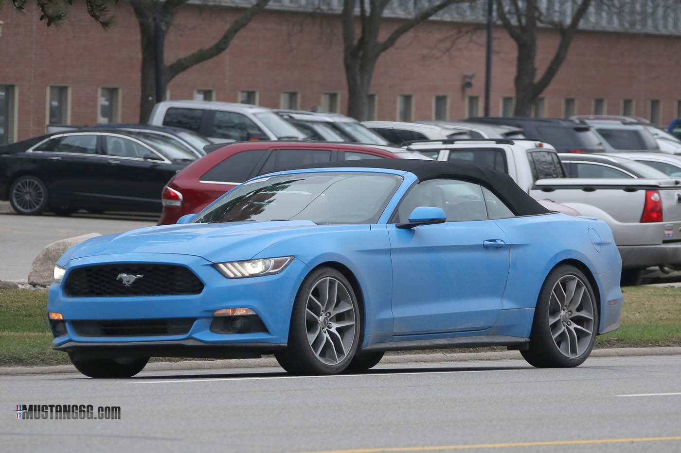 2017 Mustang Grabber Blue-2.jpg