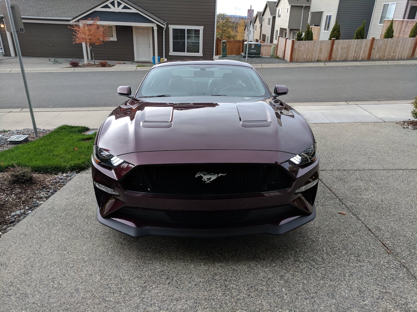 Picked Up My 2018 Mustang Gt In Royal Crimson 2015 S550 Mustang Forum Gt Ecoboost Gt350 Gt500 Bullitt Mach 1 Mustang6g Com
