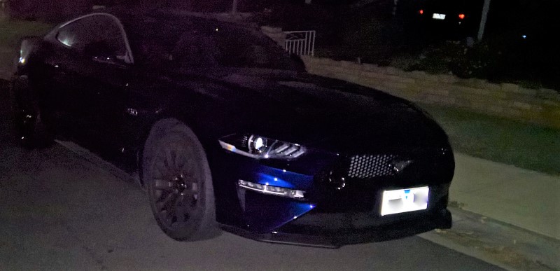 2018_mustang_spotted.jpg