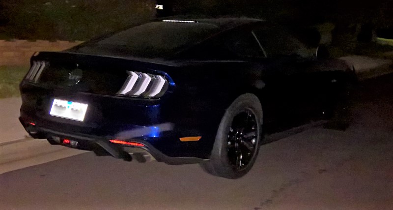 2018_mustang_spotted_two.jpg