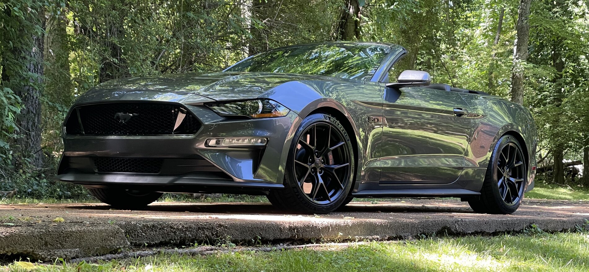2019 Mustang lowered.jpg