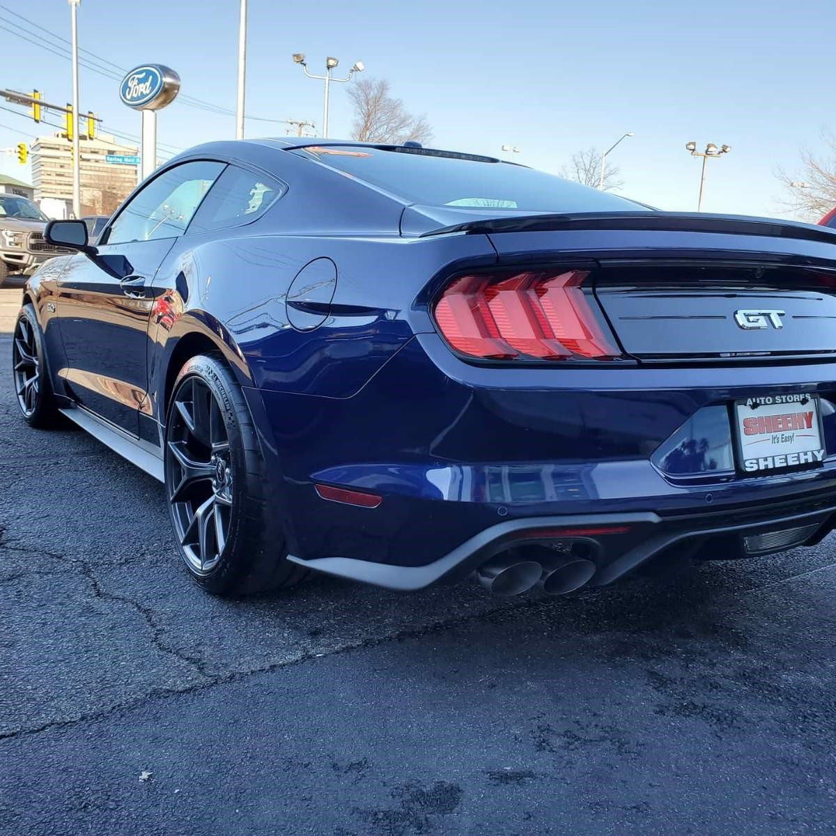 2019 PP2 Mustang 2.jpg