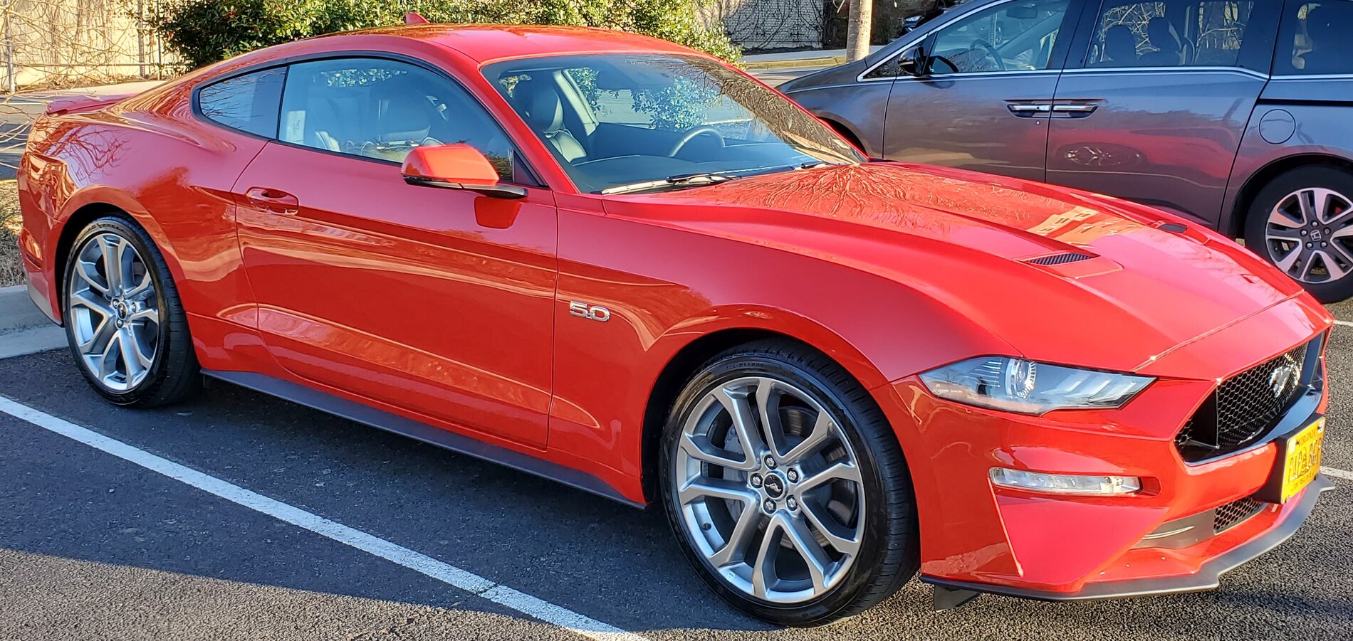 2020 Mustang (2).jpg