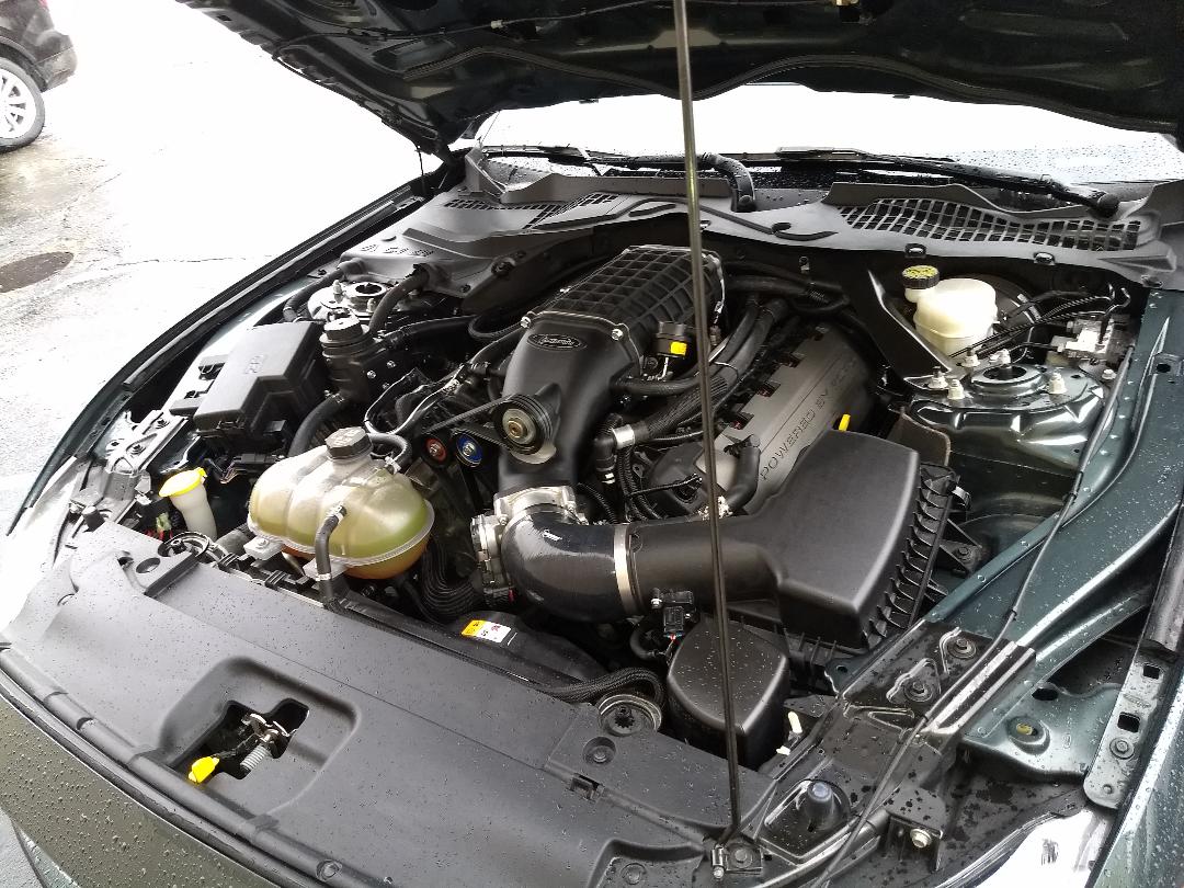 3.29.2018 Magnuson Supercharger 2015 Mustang GT.jpg